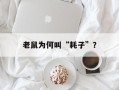 老鼠为何叫“耗子”？
