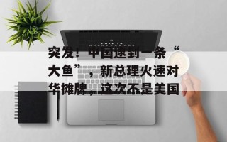 突发！中国逮到一条“大鱼”，新总理火速对华摊牌，这次不是美国
