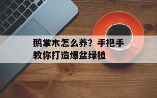 鹅掌木怎么养？手把手教你打造爆盆绿植