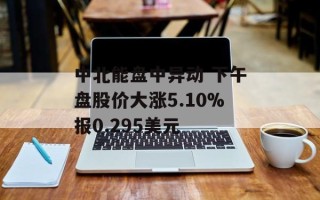 中北能盘中异动 下午盘股价大涨5.10%报0.295美元