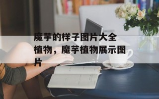 魔芋的样子图片大全 植物，魔芋植物展示图片