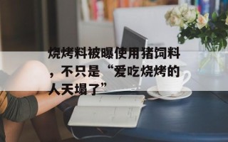 烧烤料被曝使用猪饲料，不只是“爱吃烧烤的人天塌了”