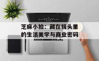 芝麻小拍：藏在镜头里的生活美学与商业密码