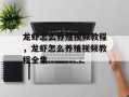 龙虾怎么养殖视频教程，龙虾怎么养殖视频教程全集