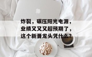 炸裂，碾压阳光电源，业绩又又又超预期了，这个新晋龙头凭什么？