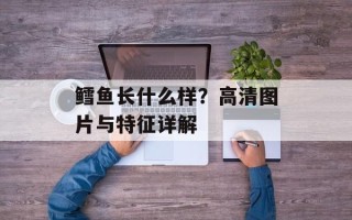 鳕鱼长什么样？高清图片与特征详解