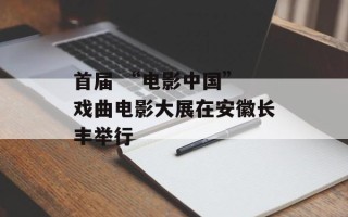 首届 “电影中国” 戏曲电影大展在安徽长丰举行