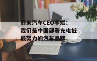 蔚来汽车CEO李斌：我们是中国部署充电桩最努力的汽车品牌