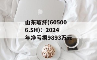 山东玻纤(605006.SH)：2024年净亏损9893万元