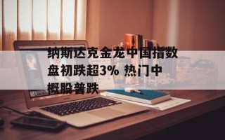 纳斯达克金龙中国指数盘初跌超3% 热门中概股普跌