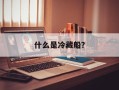 什么是冷藏船？
