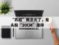 “苏超”概念火了，龙头股“20CM”涨停