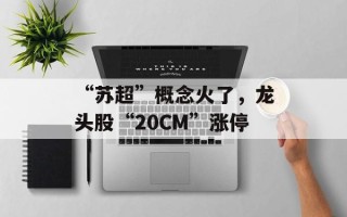 “苏超”概念火了，龙头股“20CM”涨停