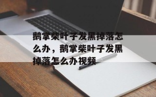鹅掌柴叶子发黑掉落怎么办，鹅掌柴叶子发黑掉落怎么办视频