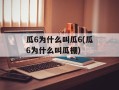 瓜6为什么叫瓜6(瓜6为什么叫瓜棚)