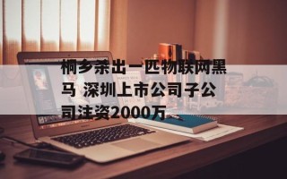 桐乡杀出一匹物联网黑马 深圳上市公司子公司注资2000万