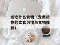 龙吃什么食物（龙类动物的饮食习惯与食物推荐）