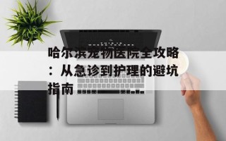 哈尔滨宠物医院全攻略：从急诊到护理的避坑指南