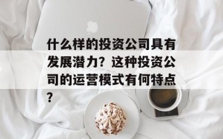 什么样的投资公司具有发展潜力？这种投资公司的运营模式有何特点？