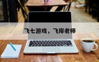 飞七游戏，飞岸老师