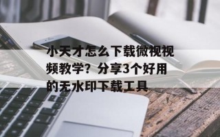 小天才怎么下载微视视频教学？分享3个好用的无水印下载工具