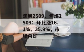 焦炭2509、焦煤2509：环比涨16.1%、35.9%，市场向好