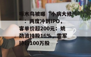啄木鸟被曝“小病大修”：两度冲刺IPO，客单价超200元；姚劲波持股16%，雷军持超100万股