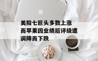 美股七巨头多数上涨 而苹果因业绩后评级遭调降而下跌