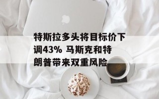 特斯拉多头将目标价下调43% 马斯克和特朗普带来双重风险