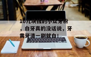 10几块钱的小众牙粉，白牙真的没话说，牙黄牙渍一刷就白！