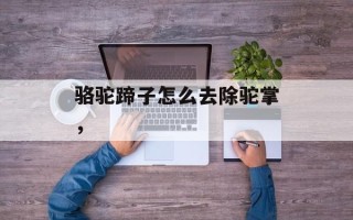 骆驼蹄子怎么去除驼掌，