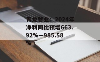 青龙管业：2024年净利同比预增663.92%―985.58%