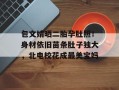 包文婧晒二胎孕肚照！身材依旧苗条肚子独大，北电校花成最美宝妈