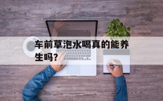 车前草泡水喝真的能养生吗？