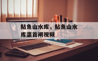 鲇鱼山水库，鲇鱼山水库渠首闸视频