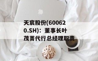 天宸股份(600620.SH)：董事长叶茂菁代行总经理职责