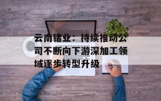 云南锗业：持续推动公司不断向下游深加工领域逐步转型升级