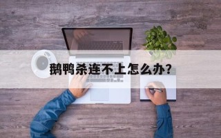 鹅鸭杀连不上怎么办？