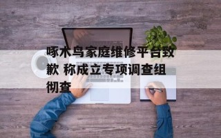 啄木鸟家庭维修平台致歉 称成立专项调查组彻查