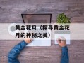 黄金花月（探寻黄金花月的神秘之美）