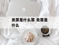 贡菜是什么菜 贡菜是什么