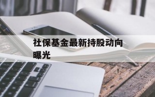 社保基金最新持股动向曝光
