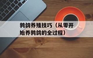 鹑鸽养殖技巧（从零开始养鹑鸽的全过程）
