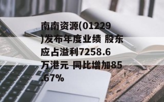 南南资源(01229)发布年度业绩 股东应占溢利7258.6万港元 同比增加85.67%