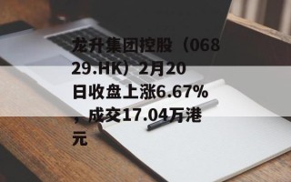 龙升集团控股（06829.HK）2月20日收盘上涨6.67%，成交17.04万港元