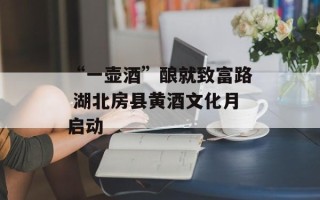 “一壶酒”酿就致富路 湖北房县黄酒文化月启动
