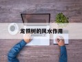 龙铁树的风水作用