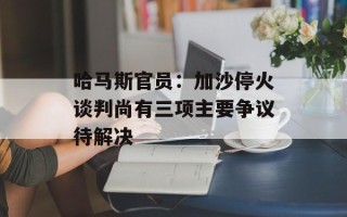 哈马斯官员：加沙停火谈判尚有三项主要争议待解决