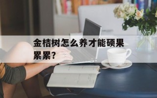 金桔树怎么养才能硕果累累？