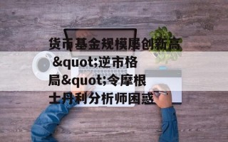 货币基金规模屡创新高 "逆市格局"令摩根士丹利分析师困惑